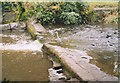 Heron on Afon Aeron, Aberaeron