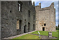 N8767 : Castles of Leinster: Athlumney, Meath (3) by Mike Searle