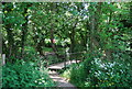 Footbridge across the River Bourne