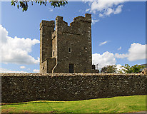 O1480 : Castles of Leinster: Termonfeckin, Louth (2) by Mike Searle