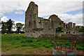 N7884 : Castles of Leinster: Robertstown, Meath by Mike Searle