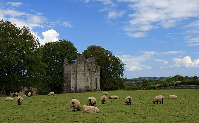 Castles of Leinster: Fennor, Meath (3)