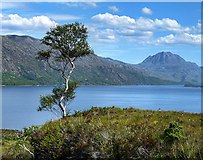 NG8775 : Loch Maree and Slioch by Dave Marley