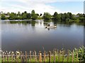 Catching fish, Dungannon Lake