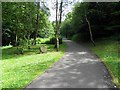 Path near the mill race, Dungannon