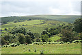 SX6673 : Dartmoor Forest: above the West Dart valley by Martin Bodman