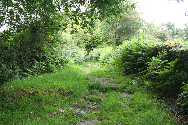 Dartmoor Forest: path to Huccaby