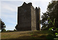 M9209 : Castles of Munster: Redwood, Tipperary (1) by Mike Searle