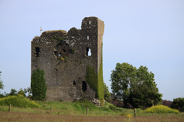Castles of Munster: Drumnamahane, Tipperary (2)