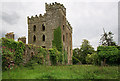 R9469 : Castles of Munster: Castle Otway or Cloghonan, Tipperary (1) by Mike Searle