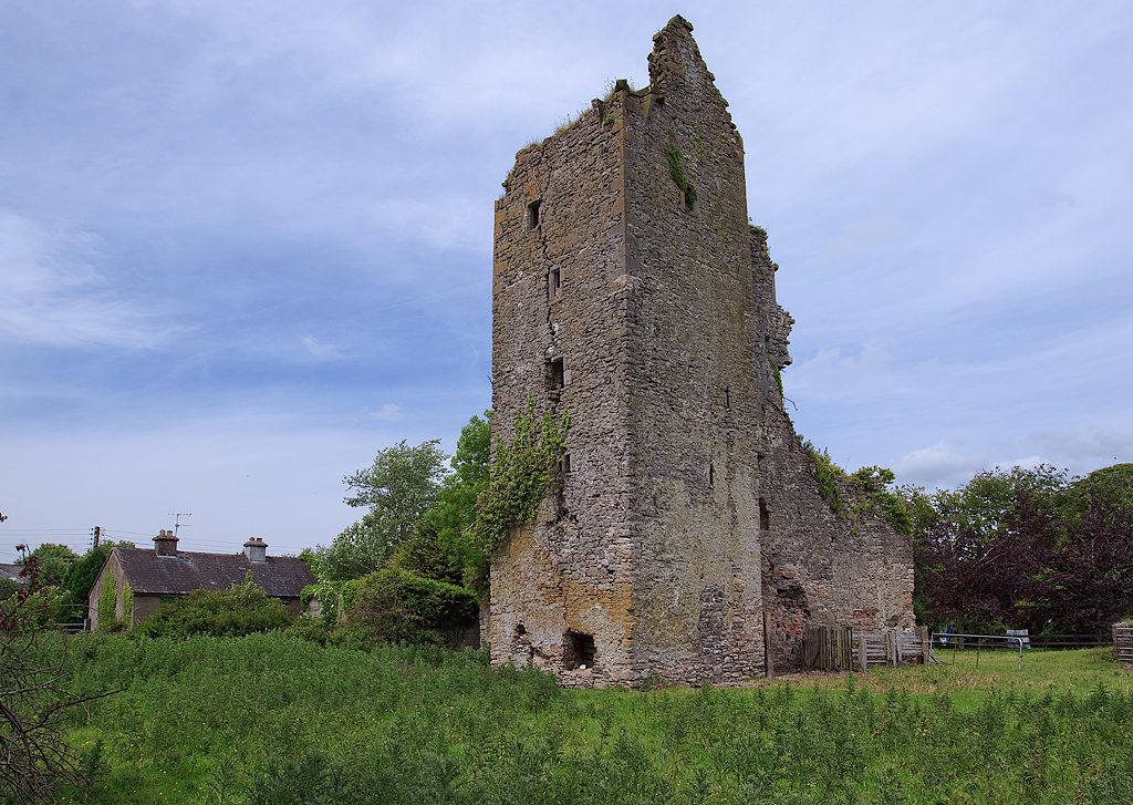 Castles of Munster: Borrisoleigh,... © Mike Searle cc-by-sa/2.0 ...