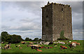 S2474 : Castles of Leinster: Clonburren, Laois (1) by Mike Searle