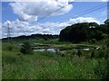 Mollinsburn, Trout Fishery