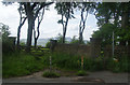 Former gateposts from the Marsden Hall Estate