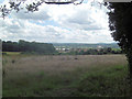 Rough land to the south of Stoney Lane