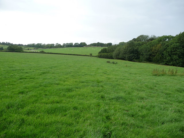 Footprints across the field near... © Jeremy Bolwell :: Geograph ...