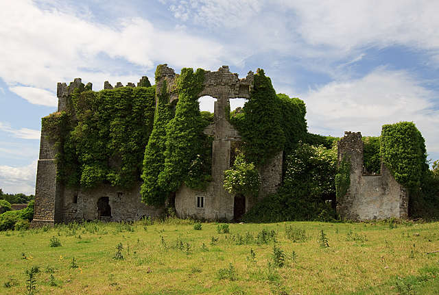 Castles of Leinster: Tremblestown, Meath (1)