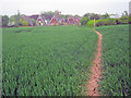 Footpath to Sheepy Parva