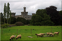 N3123 : Charleville Castle, Tullamore by Mike Searle