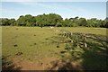 SP2853 : Fence across pasture north of Home Farm by Derek Harper