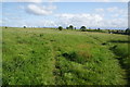 Paths onto open land