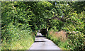 2011 : Platterwell Lane looking east