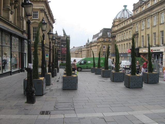 Street planting in Newcastle
