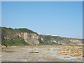 NZ4347 : Cliffs at rear of Blast Beach on the County Durham coast by peter robinson
