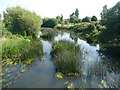 Iford: view upstream from the footbridge