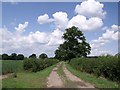 Bridleway to Eagle Barnsdale, near Morton