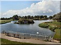 Brooklands Park Pond