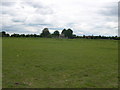 Car boot field, Barton Mills, looking south