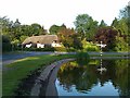 Duck pond and thatched cottage, Crawley