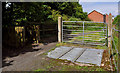 Gate and cattle grid, Aghalee