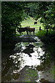 Cattle and flooded track, Bamff