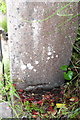 Old benchmark on gatepost of Pine Tree Cottage