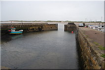 NU2328 : Beadnell Harbour by N Chadwick