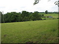 ST8485 : Fields south of Upper Stanbridge Farm by David Purchase