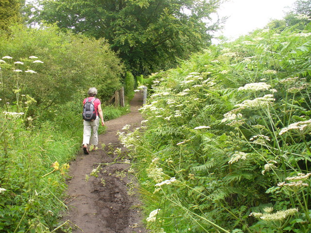 Greensand Way at Ivy Cottage