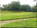 Golf Course - Reigate Heath