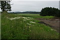 Waste ground between East and West Banchory