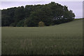 Fields and woodland near West Banchory