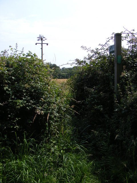 Footpath to Potter's Street
