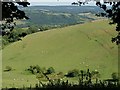 Hillside below Windhill Gate