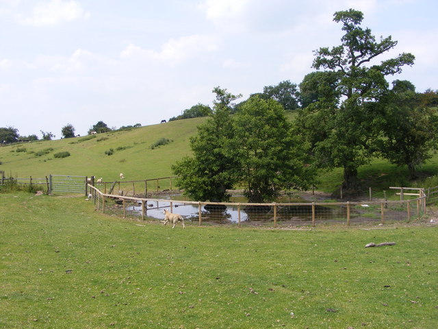 Yewtree Farm Pool