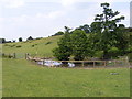 Yewtree Farm Pool