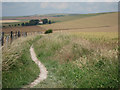 Wheat field at Gardener