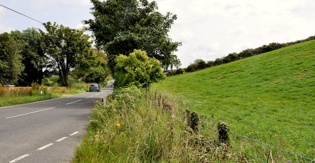 Drumlin near Strangford (2)