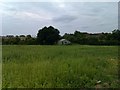 Rough field beside the A27