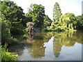 Stanmore: Temple Pond